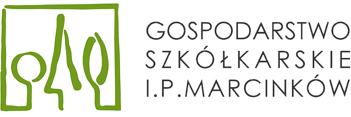 Гадавальнік Ізабелы і Паўла Марцінкув
